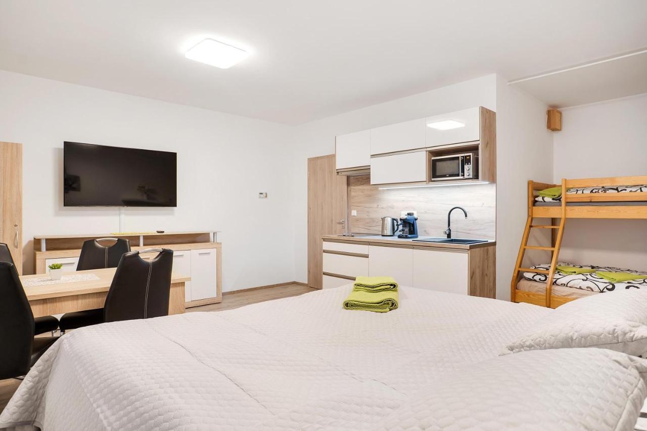 Loučná pod Klínovcem Apartman Alfa Klinovec מראה חיצוני תמונה